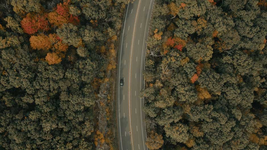 Best Road Trip Stops for Car Lovers